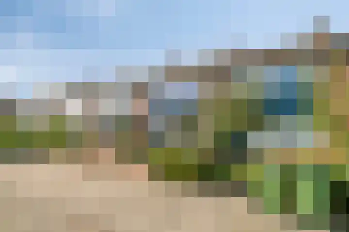 Raaigras 47 Rotterdam thumbnail 5