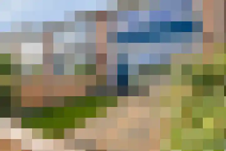 Raaigras 47 Rotterdam thumbnail 6