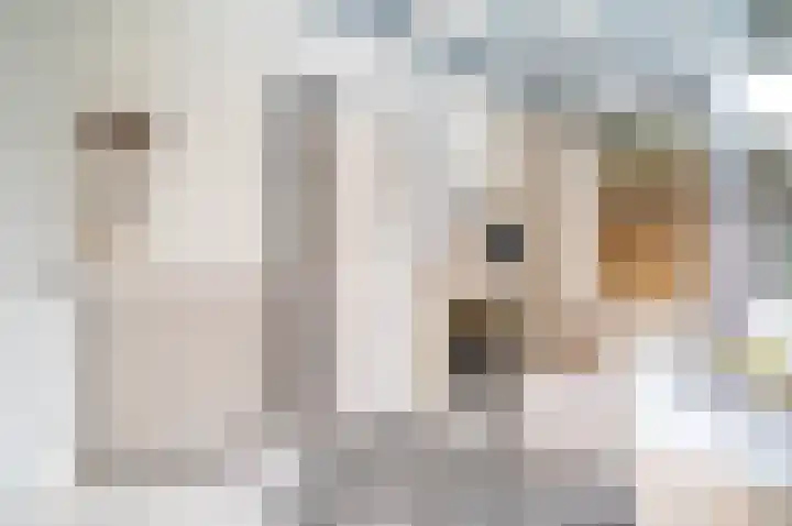 Raailand 30 Beek thumbnail 19