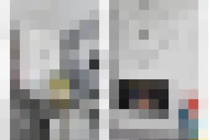 Raaimoeren 63 Breda thumbnail 10