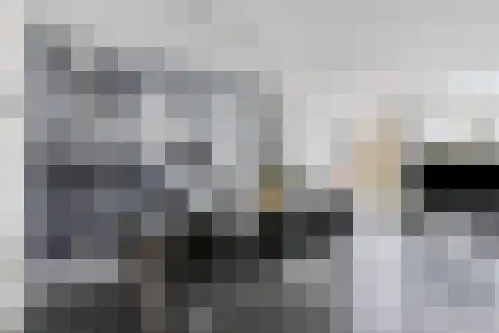 Raaimoeren 63 Breda thumbnail 11