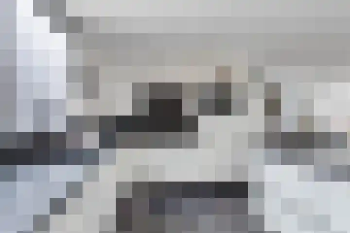 Raaimoeren 63 Breda thumbnail 15