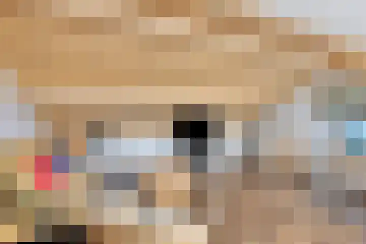 Raaimoeren 63 Breda thumbnail 26