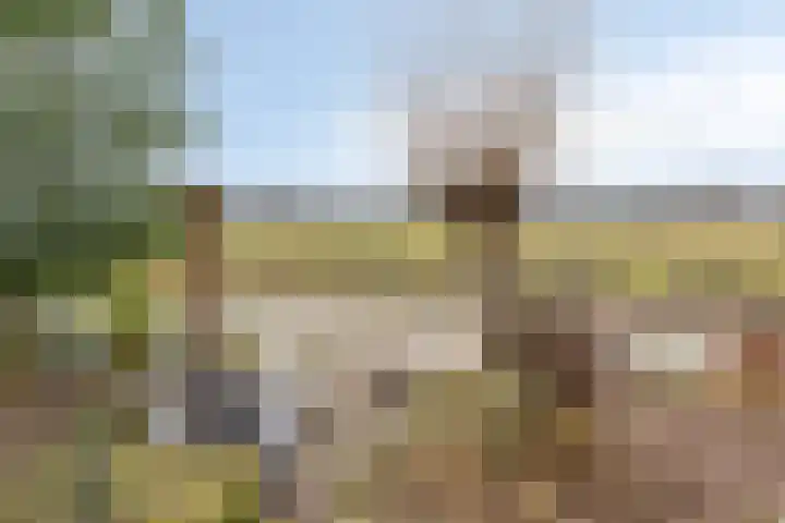Raaimoeren 63 Breda thumbnail 42