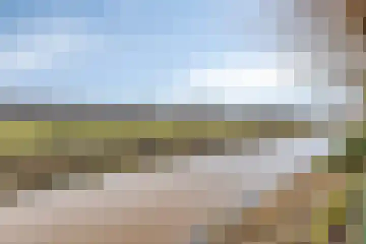 Raaimoeren 63 Breda thumbnail 43