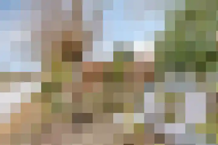 Raaimoeren 63 Breda thumbnail 44