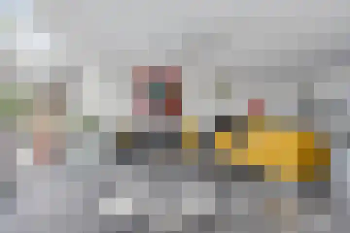 Raaimoeren 63 Breda thumbnail 8