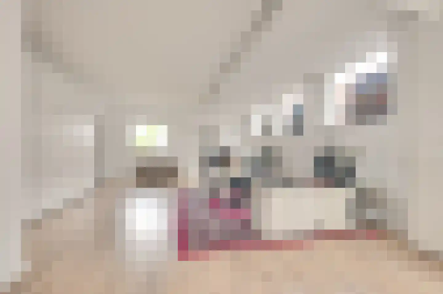 Raaimoeren 66 Breda thumbnail 11