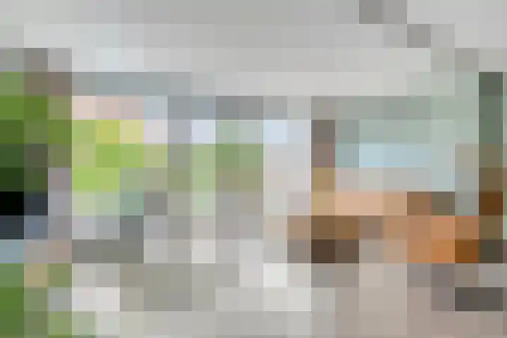Raaimoeren 66 Breda thumbnail 11