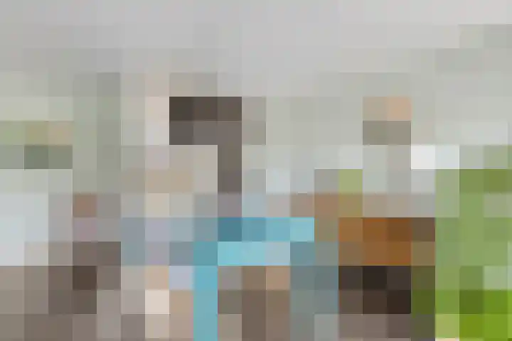 Raaimoeren 66 Breda thumbnail 12
