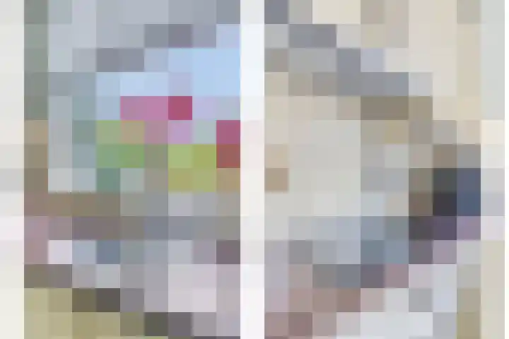 Raaimoeren 66 Breda thumbnail 14