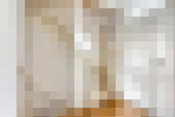 Raaimoeren 66 Breda thumbnail 15