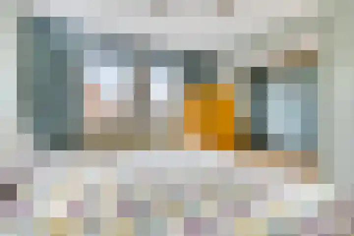 Raaimoeren 66 Breda thumbnail 17