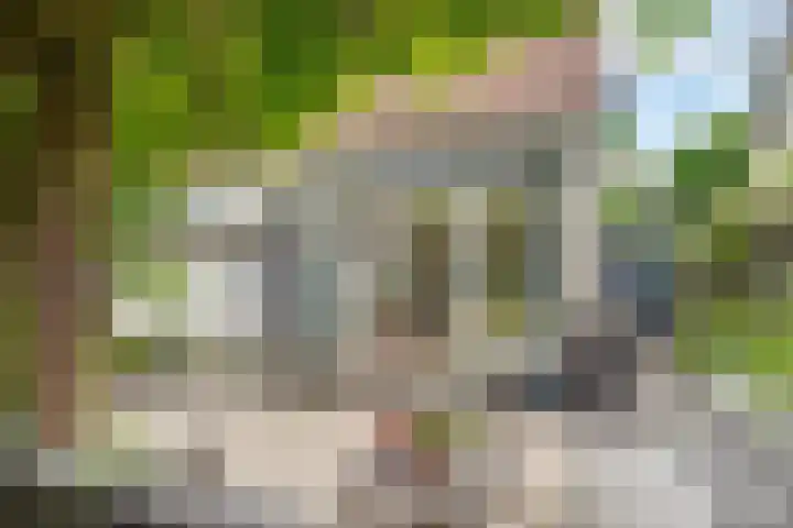 Raaimoeren 66 Breda thumbnail 18