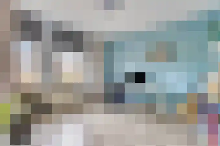 Raaimoeren 66 Breda thumbnail 18