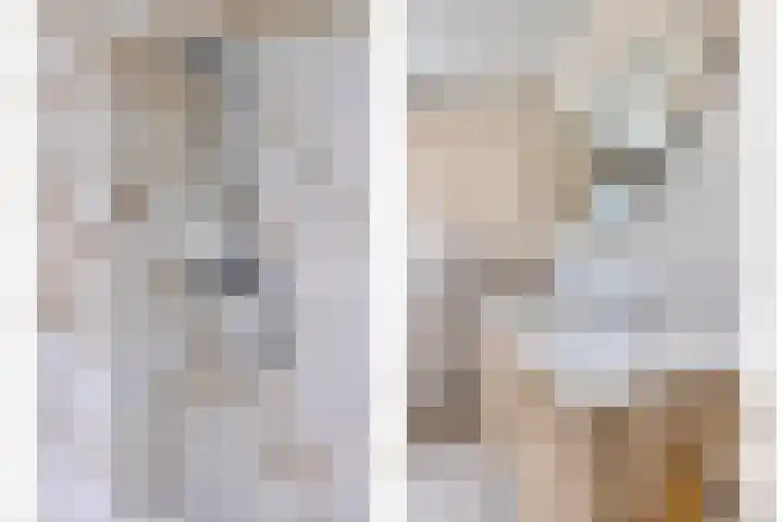 Raaimoeren 66 Breda thumbnail 20