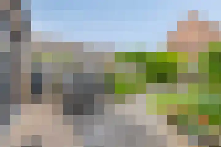 Raaimoeren 66 Breda thumbnail 25