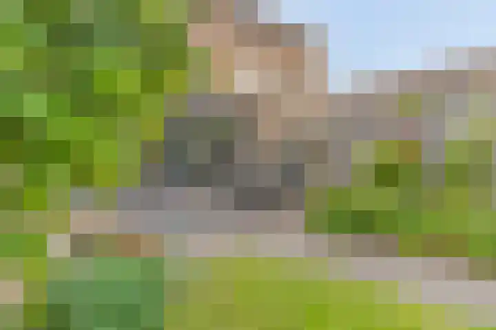 Raaimoeren 66 Breda thumbnail 26