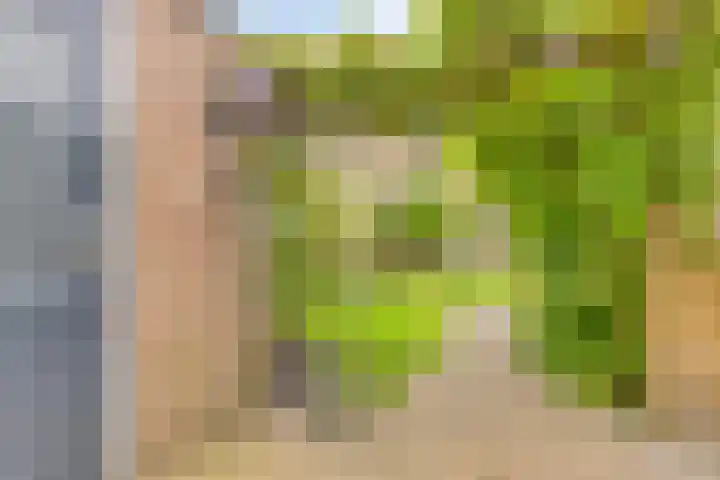 Raaimoeren 66 Breda thumbnail 28