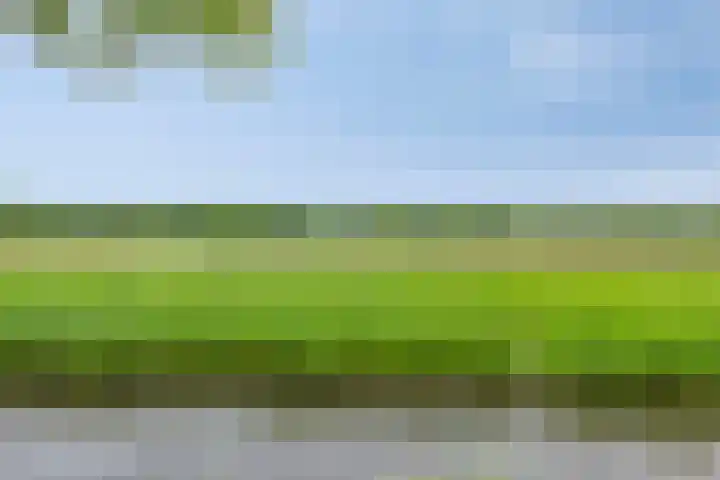 Raaimoeren 66 Breda thumbnail 33