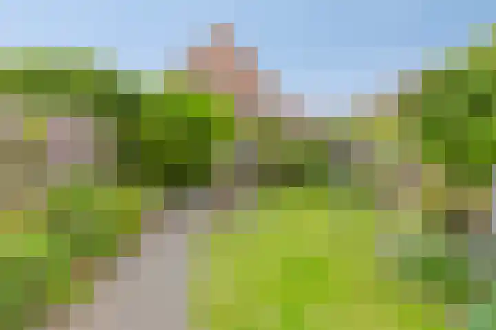 Raaimoeren 66 Breda thumbnail 5