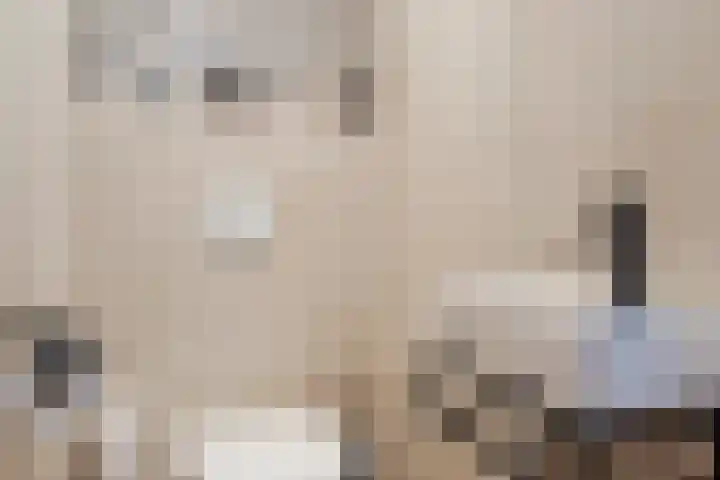 Raakheuvel 3 Best thumbnail 11