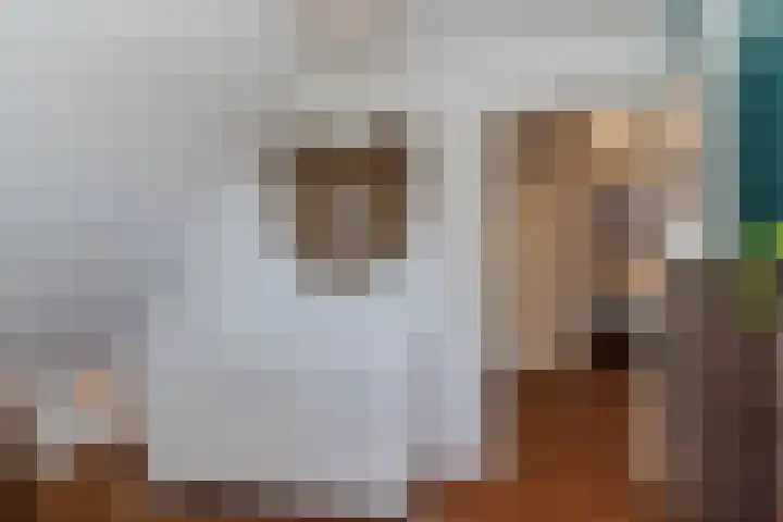 Raakheuvel 3 Best thumbnail 38