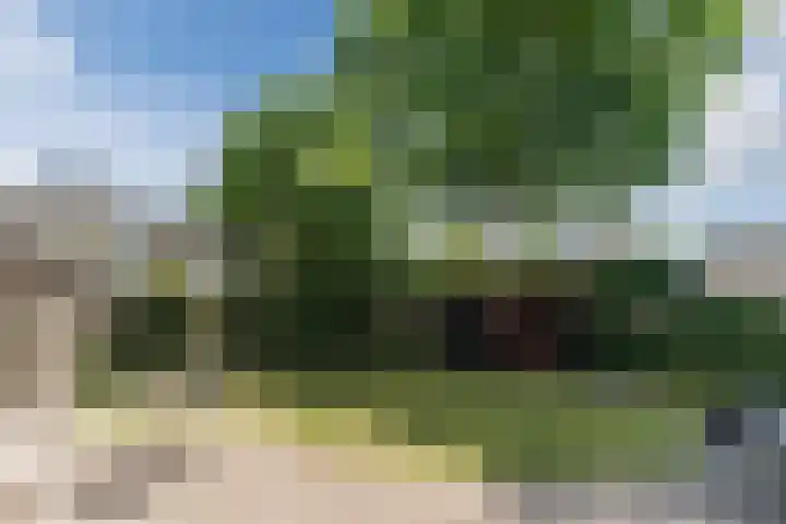 Raakheuvel 3 Best thumbnail 44