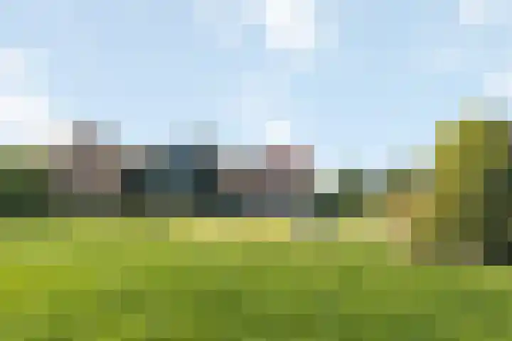Raalterweg 12 Wesepe thumbnail 21