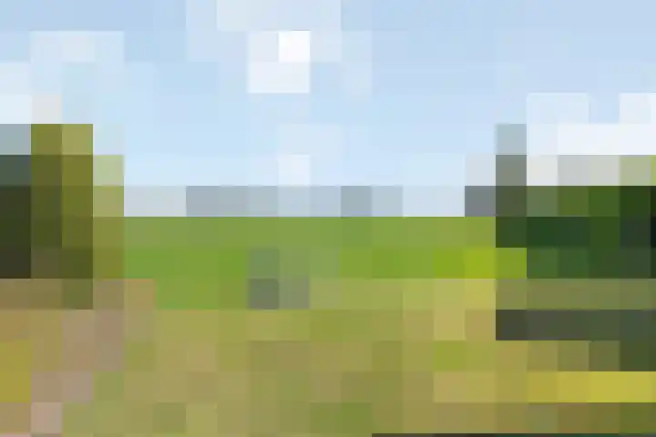 Raalterweg 12 Wesepe thumbnail 22