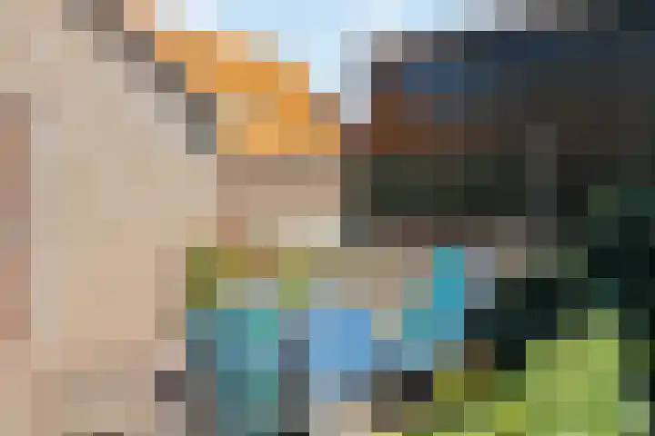 Raalterweg 12 Wesepe thumbnail 28