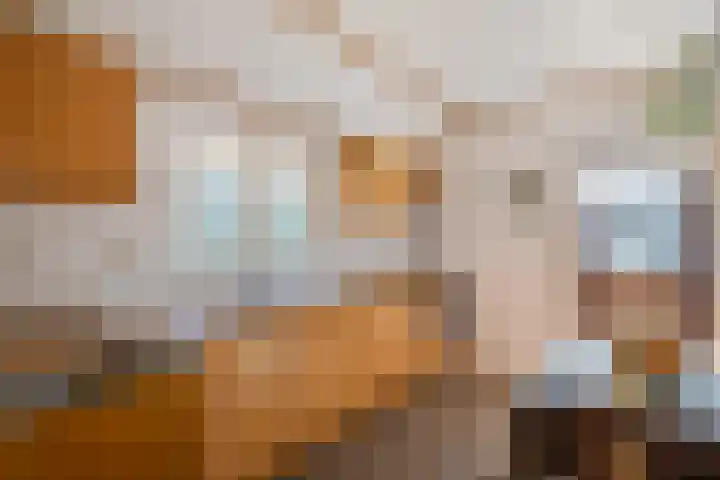 Raalterweg 12 Wesepe thumbnail 9