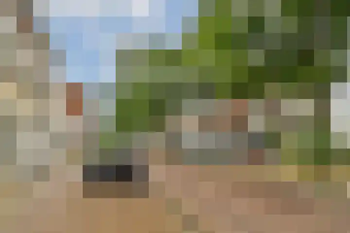 Raam 111 Gouda thumbnail 20