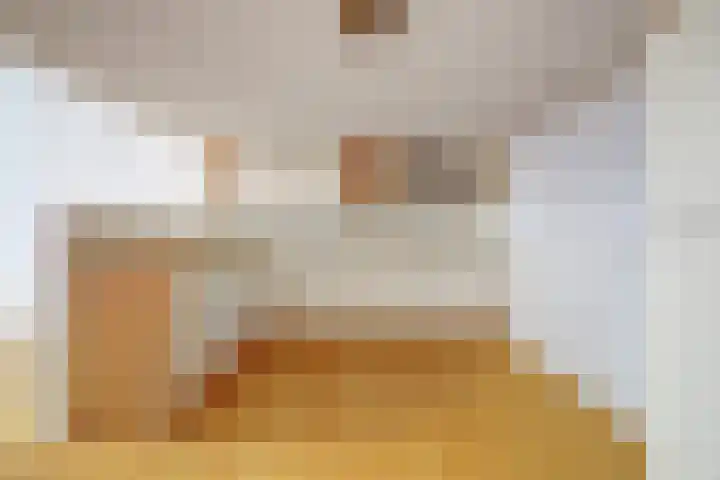 Raam 146 Delft thumbnail 12