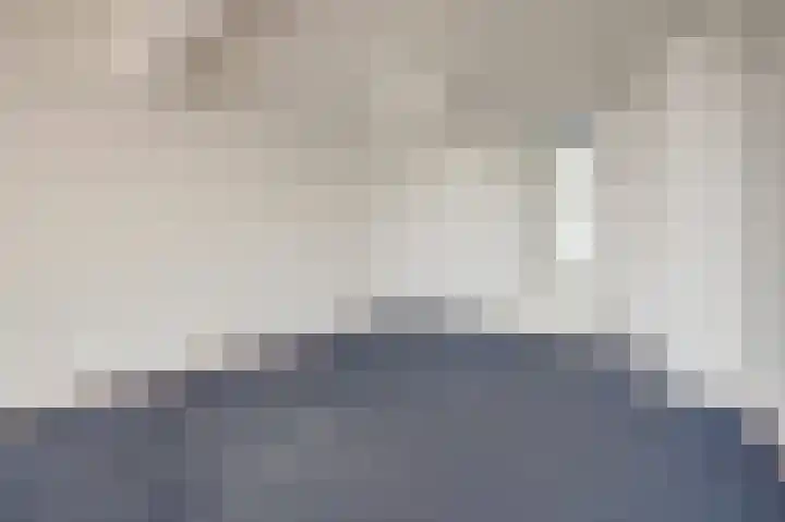 Raam 146 Delft thumbnail 25