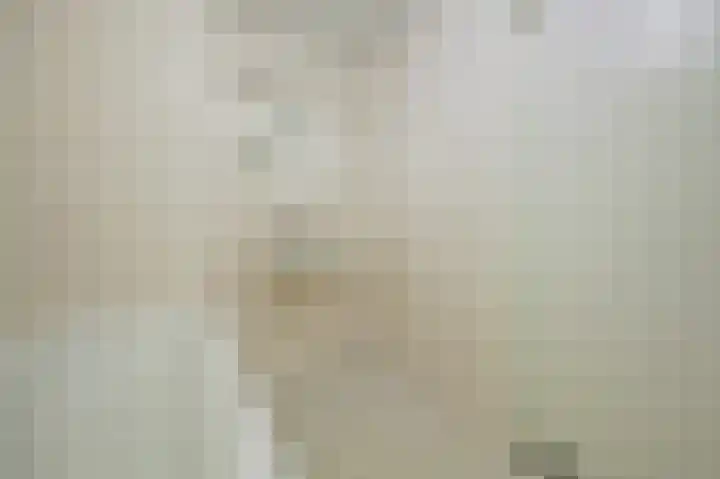 Raam 146 Delft thumbnail 28