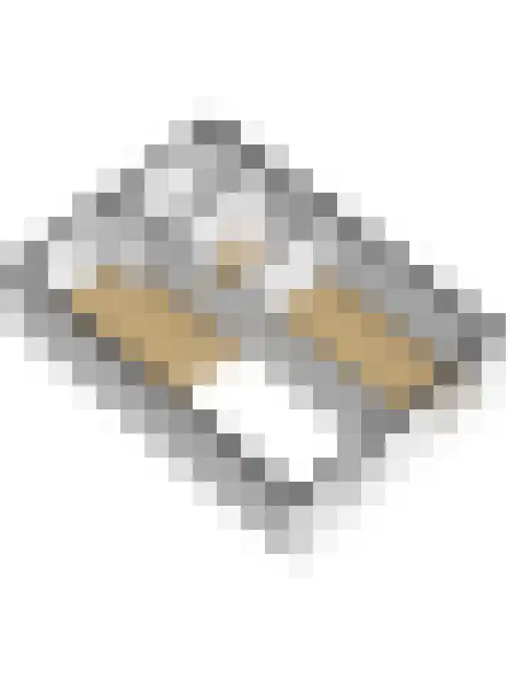 Raam 146 Delft thumbnail 39