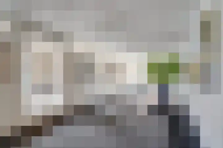 Raam 146 Delft thumbnail 5