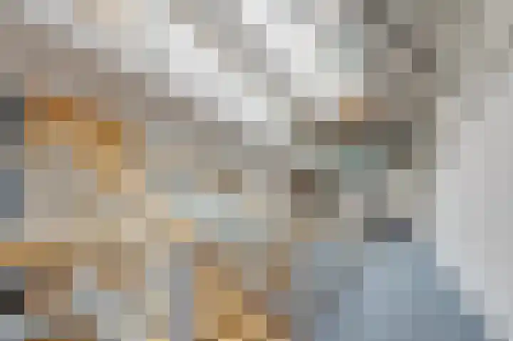 Raam 146 Delft thumbnail 6