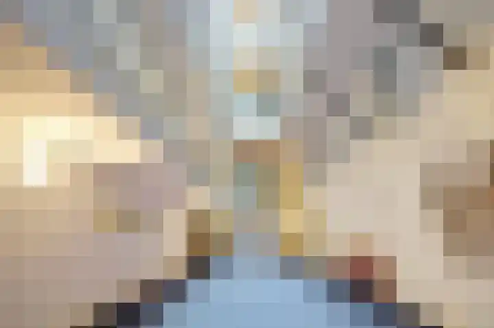 Raam 146 Delft thumbnail 7