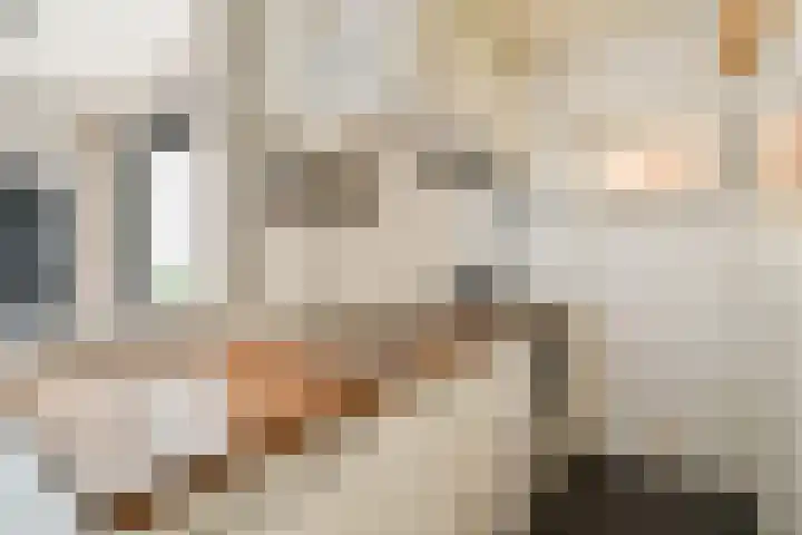 Raam 37 Gouda thumbnail 10