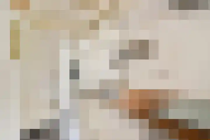 Raam 37 Gouda thumbnail 11