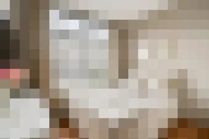Raam 37 Gouda thumbnail 14