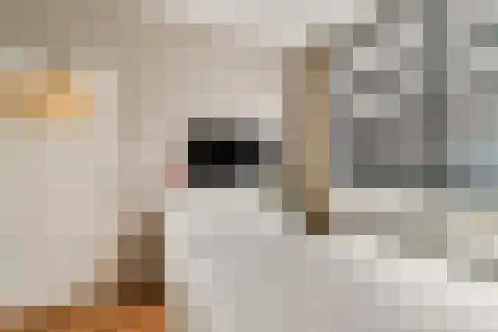 Raam 37 Gouda thumbnail 16