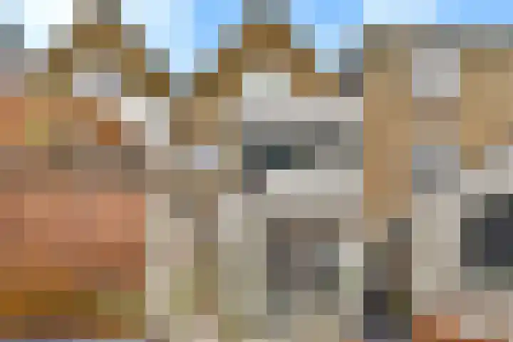 Raam 37 Gouda thumbnail 17