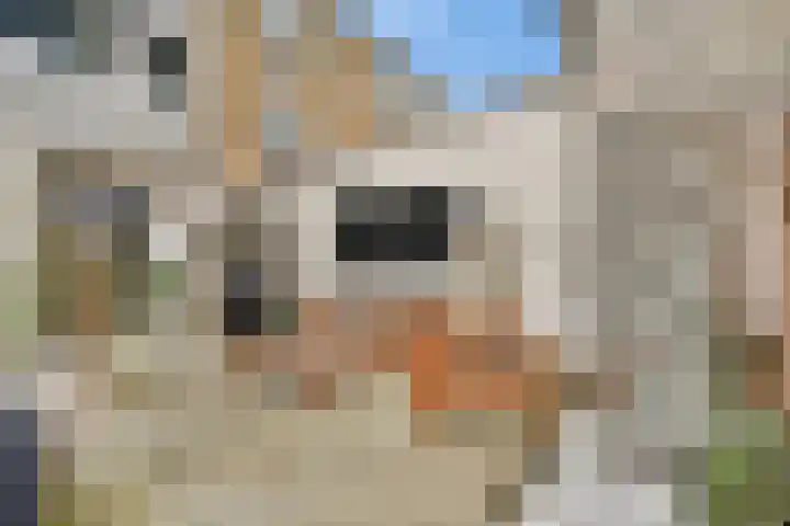 Raam 37 Gouda thumbnail 18