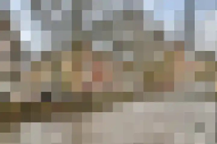 Raam 37 Gouda thumbnail 21