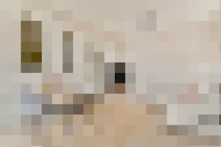 Raam 37 Gouda thumbnail 9