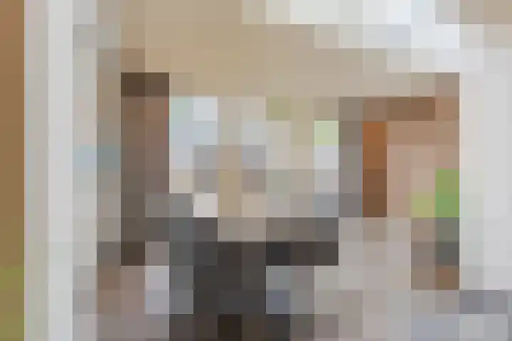 Raam 532 Uden thumbnail 10