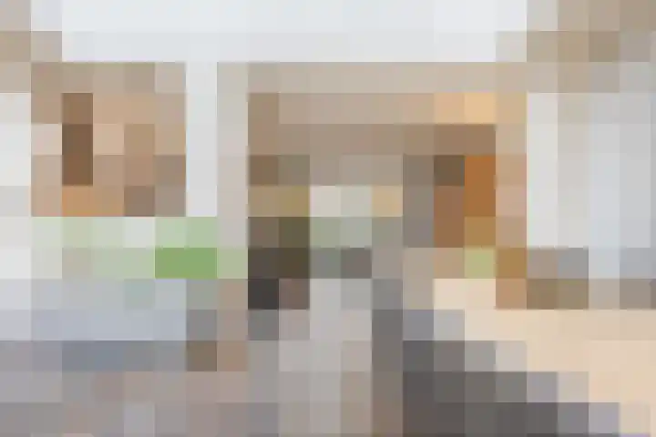 Raam 532 Uden thumbnail 12